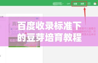 百度收录标准下的豆芽培育教程，轻松上手，简单实用！