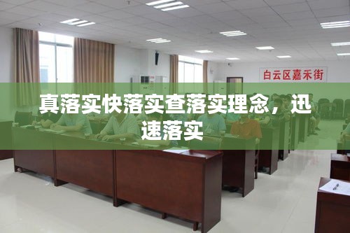 真落实快落实查落实理念，迅速落实 