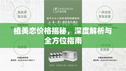 植美恋价格揭秘，深度解析与全方位指南