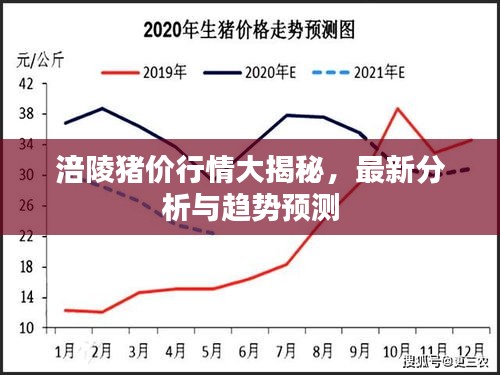 涪陵猪价行情大揭秘，最新分析与趋势预测