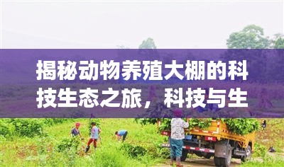 揭秘动物养殖大棚的科技生态之旅，科技与生态的完美结合