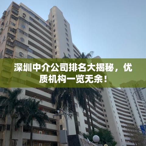 深圳中介公司排名大揭秘，优质机构一览无余！