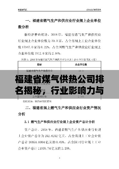 福建省煤气供热公司排名揭秘，行业影响力与领先企业榜单解析