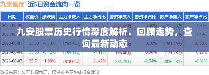 九安股票历史行情深度解析，回顾走势，查询最新动态
