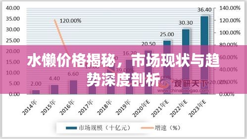 水懒价格揭秘，市场现状与趋势深度剖析