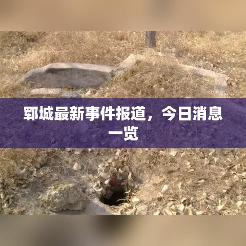 郓城最新事件报道，今日消息一览