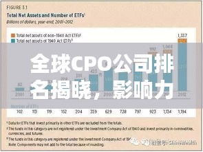 全球CPO公司排名揭晓，影响力深度解析