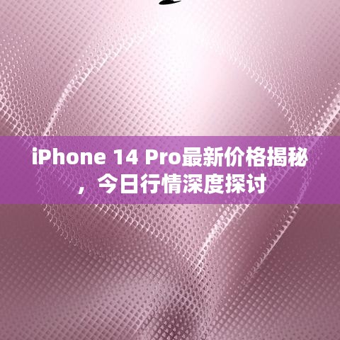 iPhone 14 Pro最新价格揭秘，今日行情深度探讨