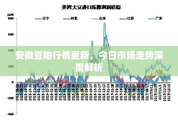 安徽豆粕行情更新，今日市场走势深度解析