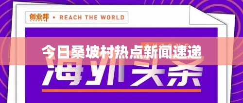 今日桑坡村热点新闻速递