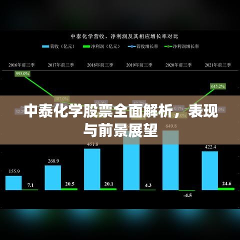 中泰化学股票全面解析，表现与前景展望