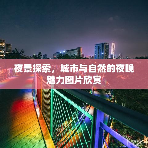 夜景探索，城市与自然的夜晚魅力图片欣赏