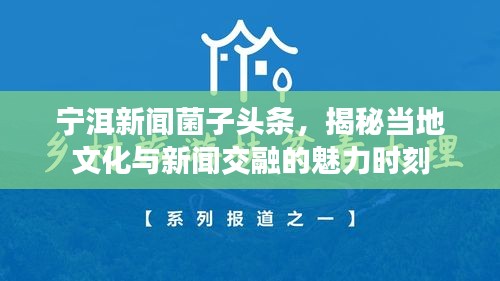 宁洱新闻菌子头条，揭秘当地文化与新闻交融的魅力时刻