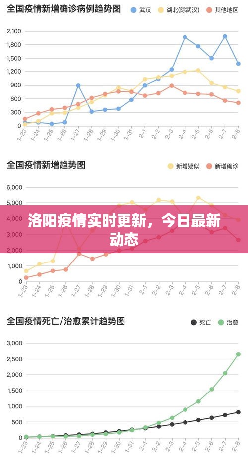 洛阳疫情实时更新，今日最新动态