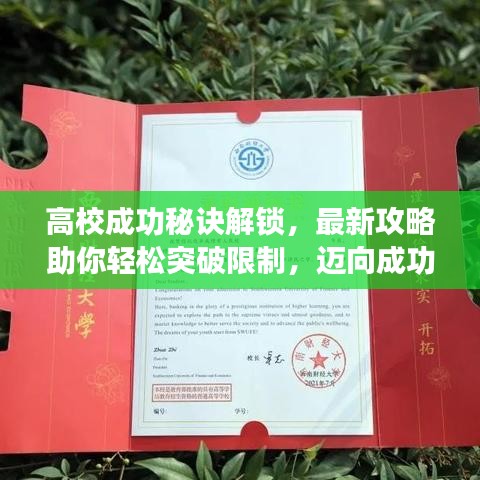 高校成功秘诀解锁，最新攻略助你轻松突破限制，迈向成功之门！