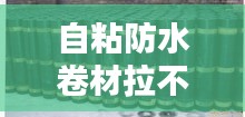 自粘防水卷材拉不断，自粘防水卷材为什么不粘怎么办 