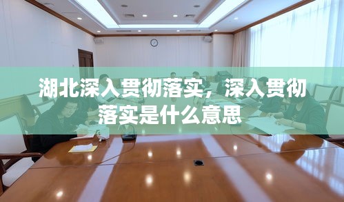 湖北深入贯彻落实，深入贯彻落实是什么意思 