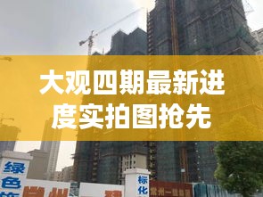 大观四期最新进度实拍图抢先看