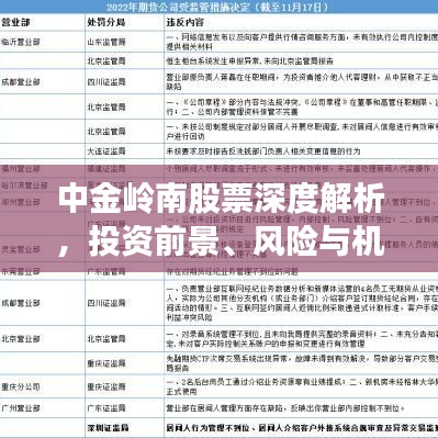 中金岭南股票深度解析，投资前景、风险与机遇一网打尽