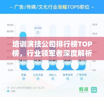 培训演技公司排行榜TOP榜，行业领军者深度解析