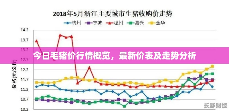 今日毛猪价行情概览，最新价表及走势分析