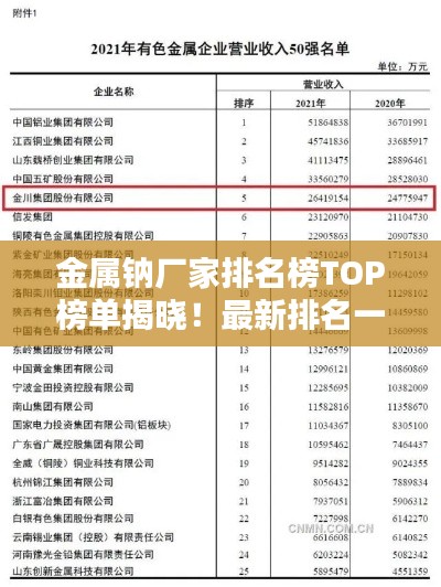 金属钠厂家排名榜TOP榜单揭晓！最新排名一网打尽