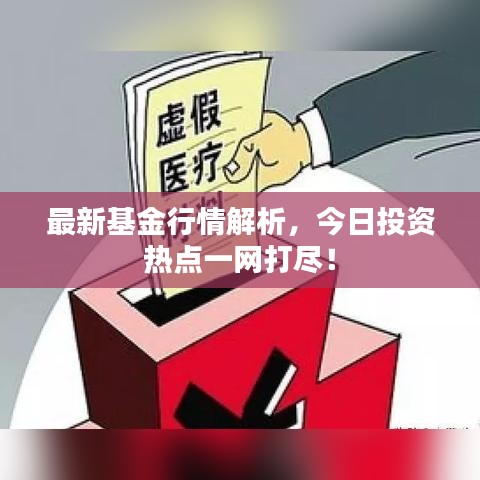 最新基金行情解析，今日投资热点一网打尽！