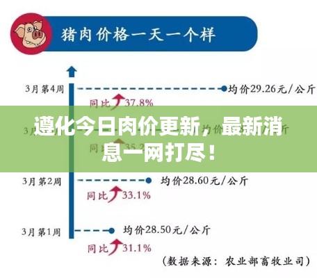 遵化今日肉价更新，最新消息一网打尽！