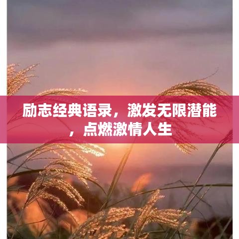 励志经典语录，激发无限潜能，点燃激情人生