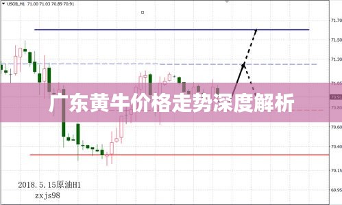 广东黄牛价格走势深度解析