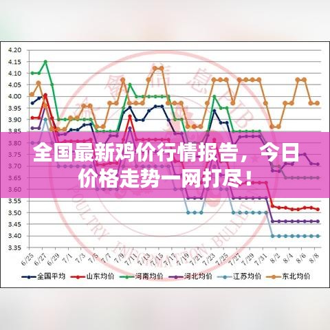 全国最新鸡价行情报告，今日价格走势一网打尽！