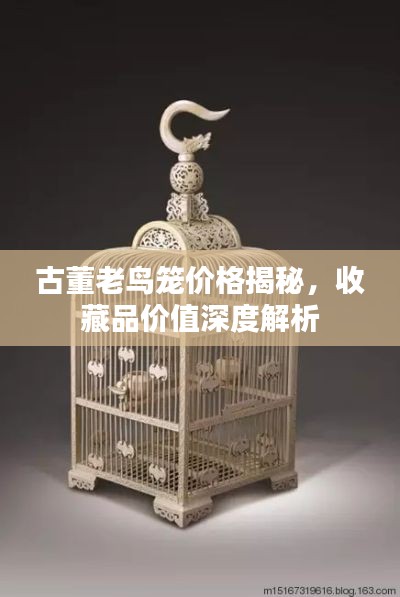 古董老鸟笼价格揭秘，收藏品价值深度解析