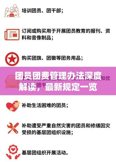 团员团费管理办法深度解读，最新规定一览