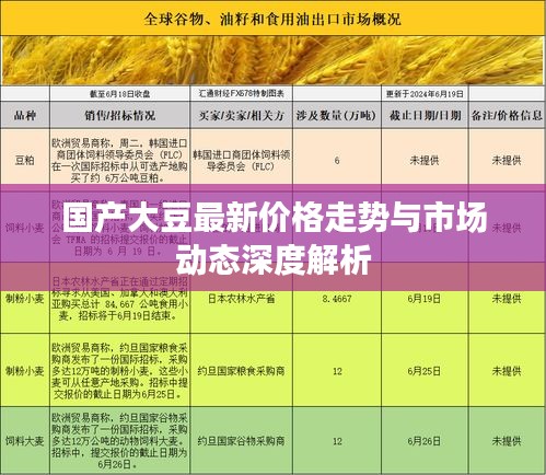 国产大豆最新价格走势与市场动态深度解析