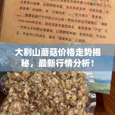 大别山蘑菇价格走势揭秘，最新行情分析！