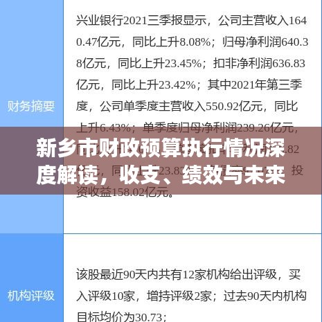 新乡市财政预算执行情况深度解读，收支、绩效与未来展望