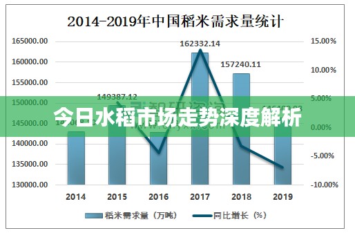 今日水稻市场走势深度解析