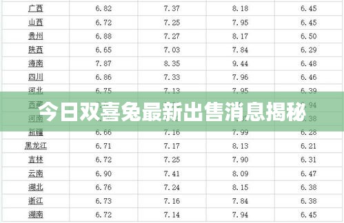 今日双喜兔最新出售消息揭秘