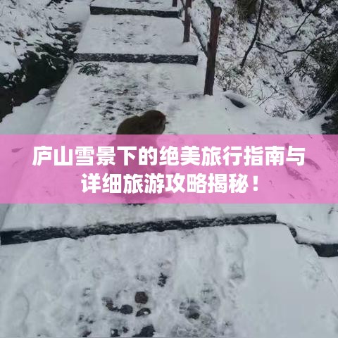 庐山雪景下的绝美旅行指南与详细旅游攻略揭秘！