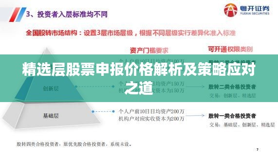 精选层股票申报价格解析及策略应对之道