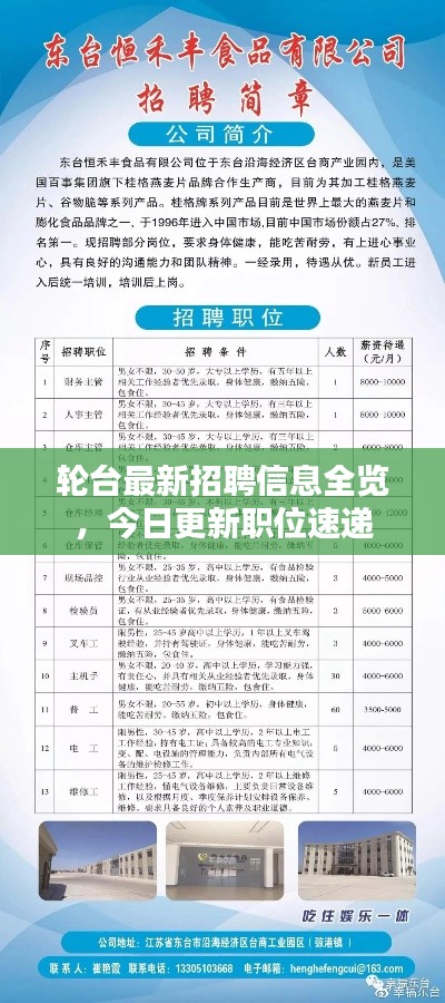 轮台最新招聘信息全览，今日更新职位速递