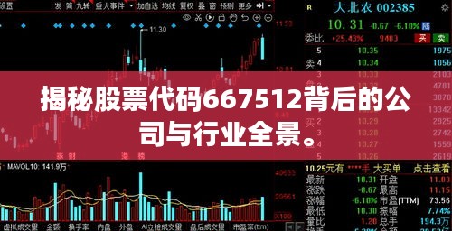 揭秘股票代码667512背后的公司与行业全景。