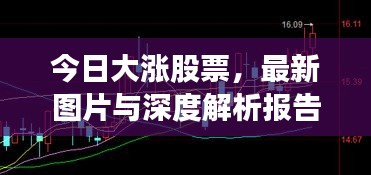 今日大涨股票，最新图片与深度解析报告