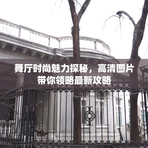 舞厅时尚魅力探秘，高清图片带你领略最新攻略