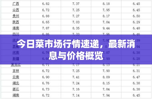 今日菜市场行情速递，最新消息与价格概览