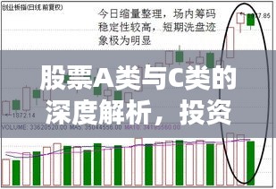 股票A类与C类的深度解析，投资差异与选择策略