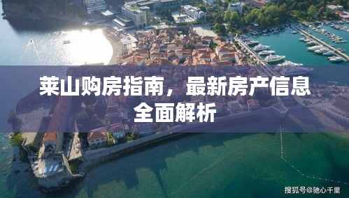 莱山购房指南，最新房产信息全面解析