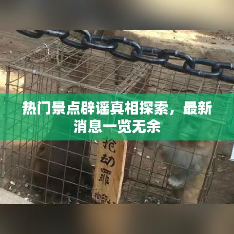 热门景点辟谣真相探索，最新消息一览无余