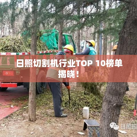 日照切割机行业TOP 10榜单揭晓！