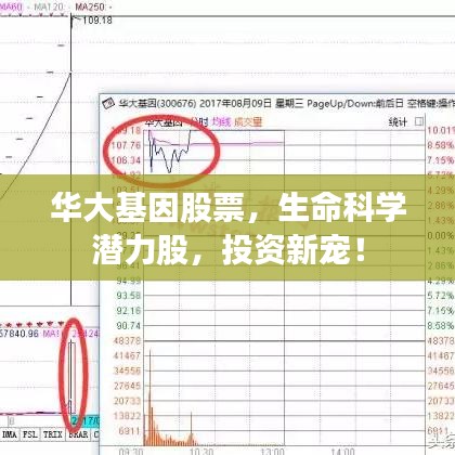 华大基因股票，生命科学潜力股，投资新宠！